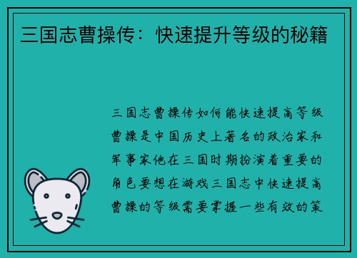 三国志曹操传：快速提升等级的秘籍